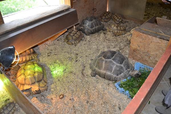 Sortida França 12/05/2013