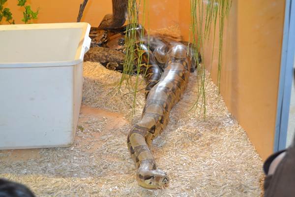 Sortida França 12/05/2013